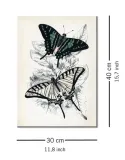 butterflies-i-obraz-na-plotnie-30x40-cm-stan-nowy