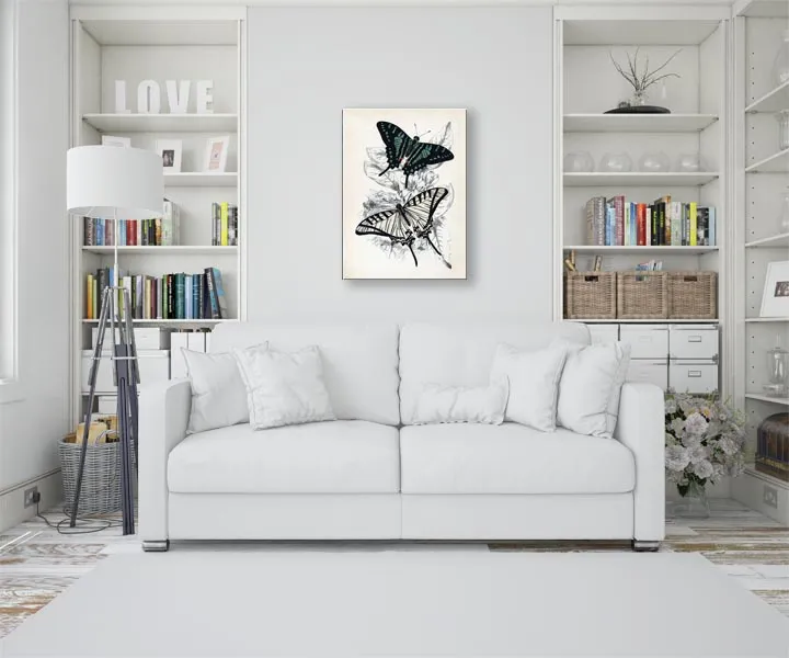 butterflies-i-obraz-na-plotnie-30x40-cm-stan-nowy