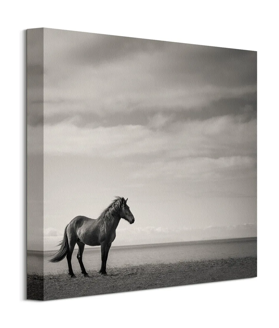 contemplation-obraz-na-plotnie-40x40-cm-stan-nowy