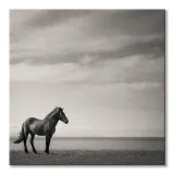 contemplation-obraz-na-plotnie-40x40-cm-stan-nowy