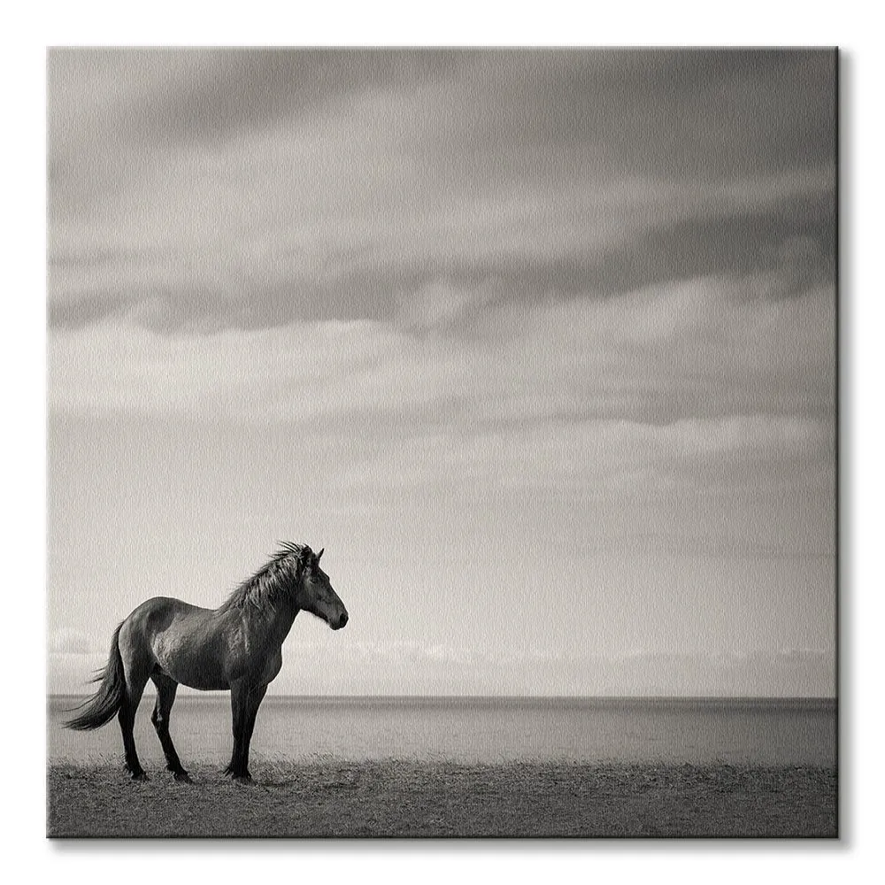 contemplation-obraz-na-plotnie-40x40-cm