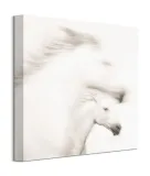 gentle-obraz-na-plotnie-40x40-cm