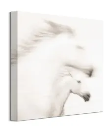 gentle-obraz-na-plotnie-40x40-cm