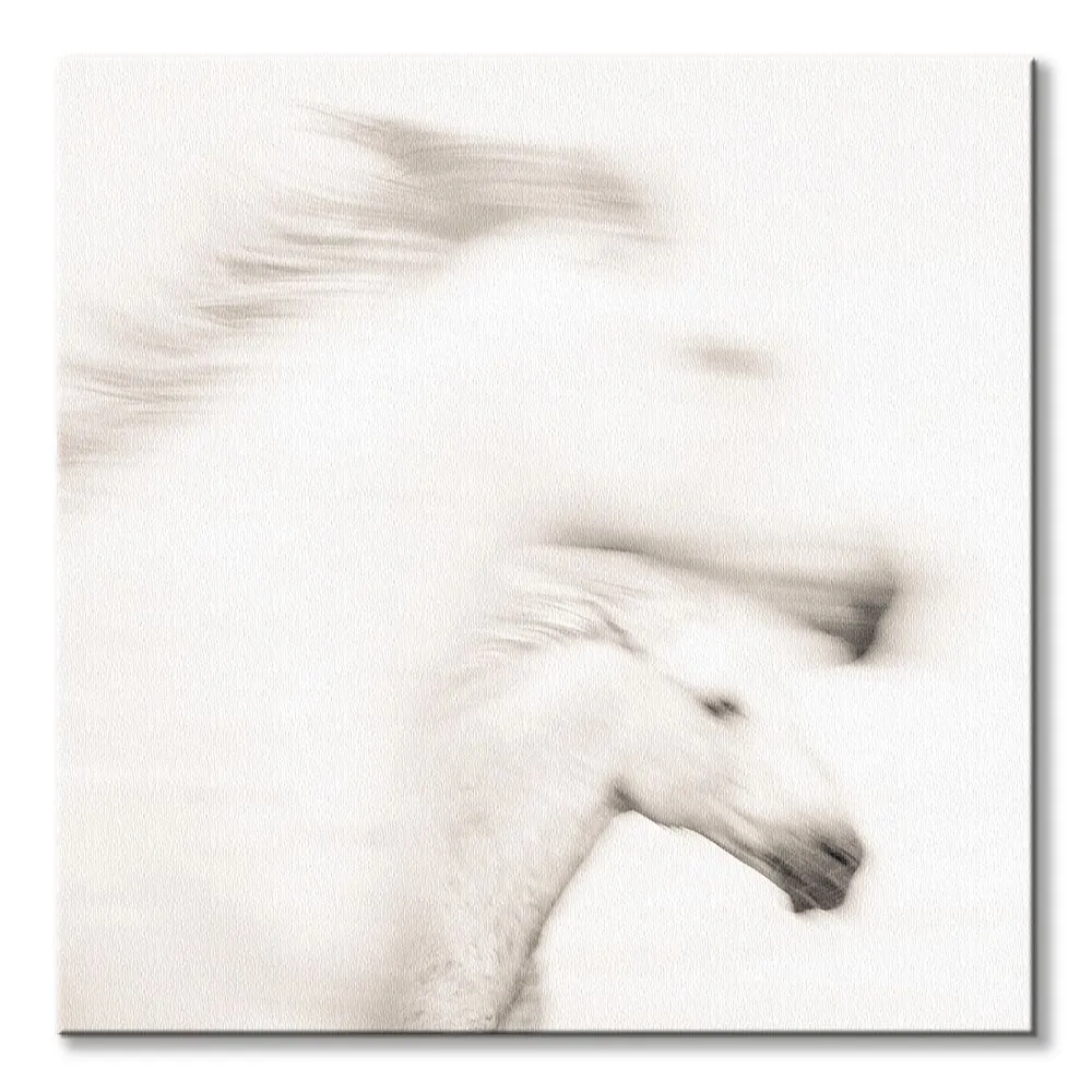 gentle-obraz-na-plotnie-40x40-cm