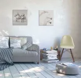 gentle-obraz-na-plotnie-40x40-cm-stan-nowy