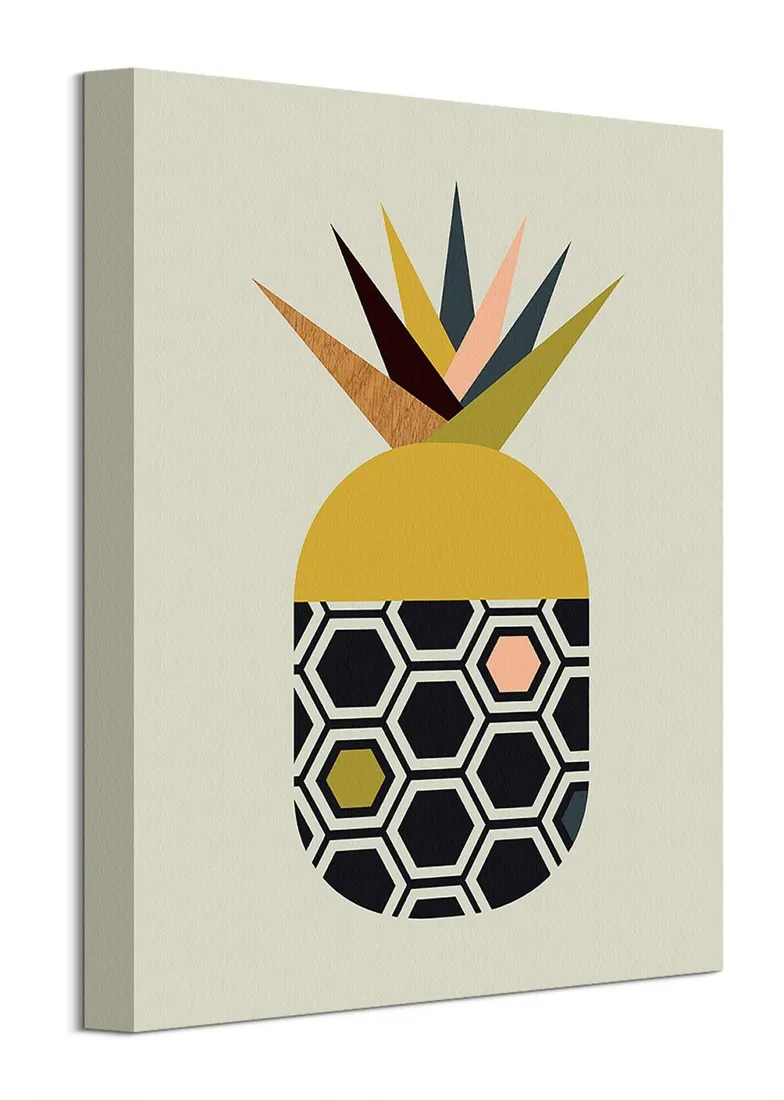 ananas-obraz-na-plotnie-30x40-cm