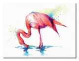 flaming-obraz-na-plotnie-40x30-cm-stan-nowy