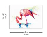 flaming-obraz-na-plotnie-40x30-cm-stan-nowy