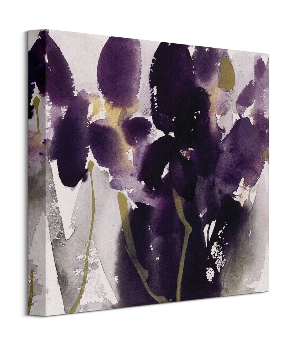 irysy-obraz-na-plotnie-40x40-cm