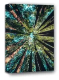 korony-drzew-obraz-na-plotnie-30x40-cm