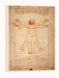 anatomia-leonardo-da-vinci-obraz-na-plotnie-40x50-cm