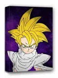 dragon-ball-gohan-obraz-na-plotnie-60x80-cm