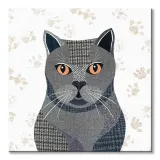 kot-brytyjski-obraz-na-plotnie-40x40-cm-stan-nowy