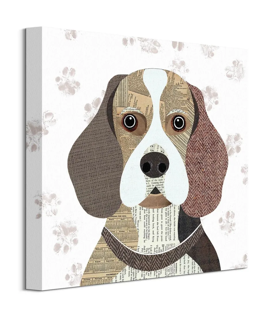 beagle-obraz-na-plotnie-40x40-cm-stan-nowy