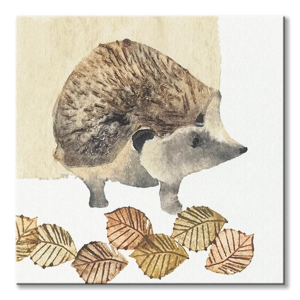hedgehog-obraz-na-plotnie-40x40-cm