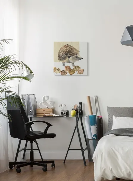 hedgehog-obraz-na-plotnie-40x40-cm-stan-nowy