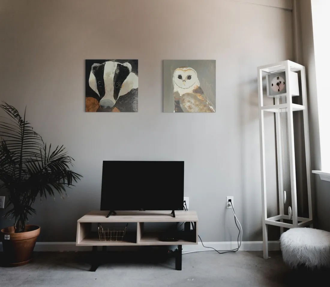badger-obraz-na-plotnie-40x40-cm-stan-nowy