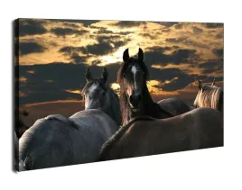 konie-obraz-na-plotnie-120x90-cm