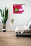 kwiat-obraz-na-plotnie-100x70-cm-stan-nowy
