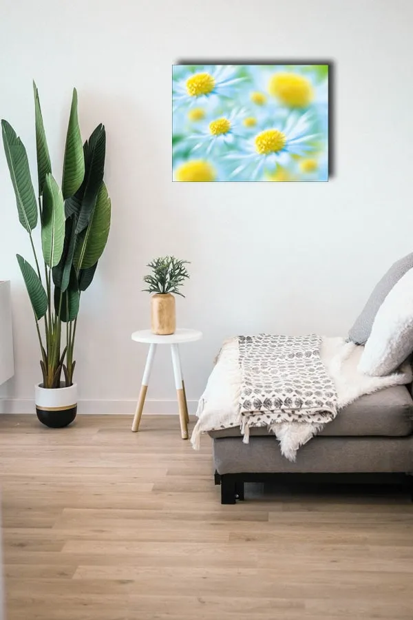 stokrotki-obraz-na-plotnie-60x40-cm