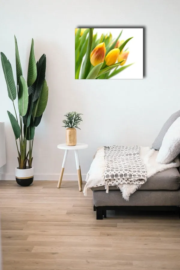 zolte-tulipany-obraz-na-plotnie-60x40-cm