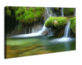 lesny-wodospad-obraz-na-plotnie-80x60-cm
