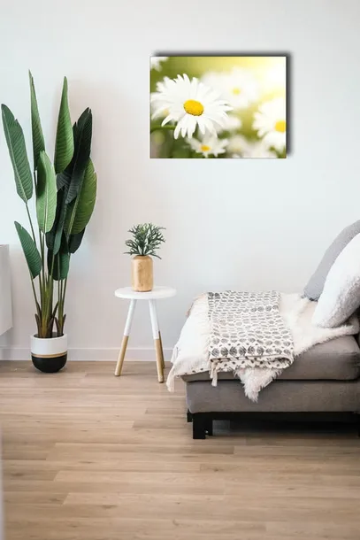 stokrotki-obraz-na-plotnie-100x70-cm-stan-nowy