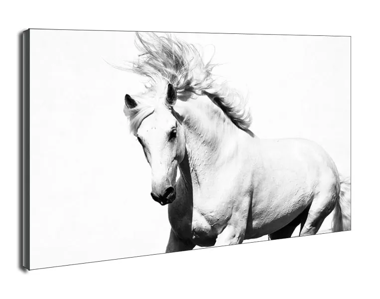 arabski-kon-obraz-na-plotnie-70x50-cm
