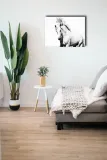 arabski-kon-obraz-na-plotnie-70x50-cm-stan-nowy