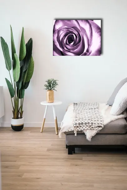 purpurowa-roza-obraz-na-plotnie-40x30-cm-stan-nowy