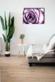 purpurowa-roza-obraz-na-plotnie-40x30-cm-stan-nowy