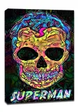 psychoskulls-superman-dc-comics-obraz-na-plotnie-30x40-cm
