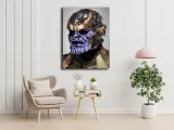 polyamory-thanos-marvel-obraz-na-plotnie-70x100-cm-stan-nowy