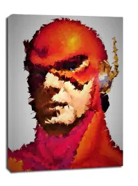polyamory-flash-dc-comics-obraz-na-plotnie-30x40-cm