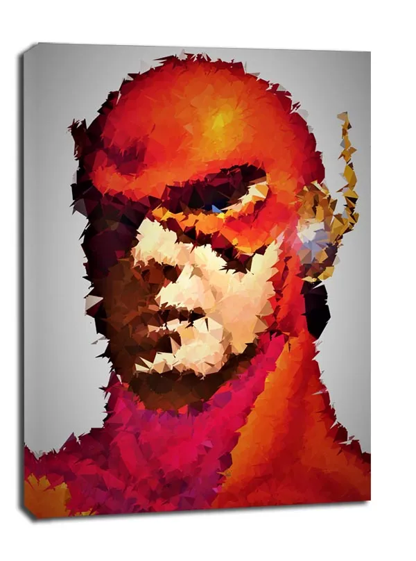 polyamory-flash-dc-comics-obraz-na-plotnie-30x40-cm