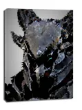 polyamory-daedra-the-elder-scrolls-obraz-na-plotnie-30x40-cm