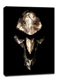 overwatch-reaper-obraz-na-plotnie-40x50-cm