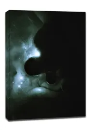 deep-space-picasso-obraz-na-plotnie-60x80-cm