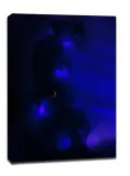 deep-space-faure-obraz-na-plotnie-50x70-cm