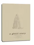 a-ghost-story-i-obraz-na-plotnie-30x40-cm