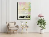 bialystok-obraz-na-plotnie-50x70-cm-stan-nowy