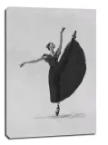 balet-balerina-obraz-na-plotnie-60x80-cm