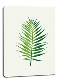 lisc-ii-obraz-na-plotnie-61x915-cm