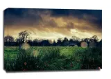 menchaster-park-obraz-na-plotnie-80x60-cm