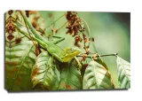 lizzard-obraz-na-plotnie-120x90-cm