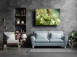 lizzard-obraz-na-plotnie-120x90-cm-stan-nowy