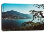 danau-buyan-obraz-na-plotnie-70x50-cm
