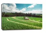 pola-obraz-na-plotnie-60x40-cm