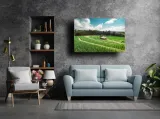 pola-obraz-na-plotnie-60x40-cm-stan-nowy