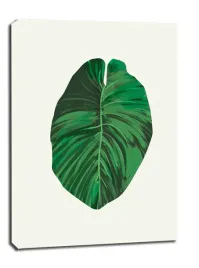 lisc-vi-obraz-na-plotnie-60x80-cm